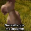 Burro 🫏 (Shrek) 19