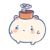 Bubble Hamsters 🐹 14