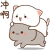 😻 Los Gatitos #01 26