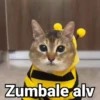 Gatitos Locos 2😼 15