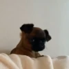🎵 TIKTOKeando 6🎵 19