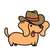 Perro Bachicha 16