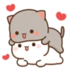 😻 Los Gatitos #02 25