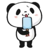 PANDA 26