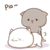 😻 Los Gatitos #05 27