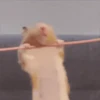 Hamsters Mov 🐹 21