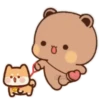 🐼BuBu and DuDu🐻(117) 🐤MAllESн্᭄͜͡ 30