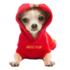 MISO pup 🐶💛🧡. mov 27