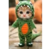 Gato bailando IA 20