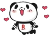 PANDA 28