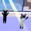 🐱 Gato Roblox 💫baile 😹💫 15