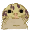 Chipi Chipi Chapa Chapa 9