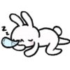 BUNNY 🤍🐰 23