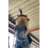 😎Barbería - Tiktok Viral😎 15