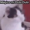 Gato Chipi Chipi 2 20