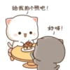 😻 Los Gatitos #05 29