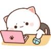 gatitos 28