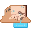 Human Box 13
