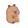 Capybara 1 26