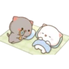 gatitos 29