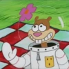 SpongeBob and Friends Sticker Pack #1 26