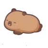 Capybara 1 28