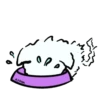 Wisp 15