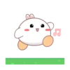 Rabbit mayla 23