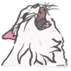 Chipi Chipi Chapa Chapa 10