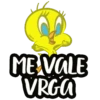 Piolin 10