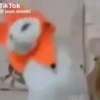 🌈🐱Gatos Divertidos Gif🐱🌈 28