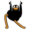 Black Duck 5