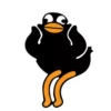 Black Duck 6