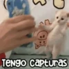 😻 Michis RANDOM🐾 6