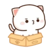 MOCHIS🐈CAT Especial II MOV 6