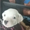 🎵 TIKTOKeando 19🎵 6