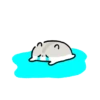 Hamster triste 🐹🐭 6
