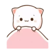 Moshi peach cat 7