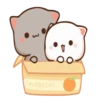 Moshi peach cat 8