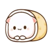 Moshi peach cat 9