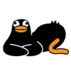 Black Duck 9