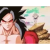 DRAGON BALL 💫👈 14