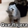 🪸🪼Mix ANIMADOS🪼🪸 7