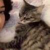 Pretty Kittens🐈1🇲🇽Movi 10