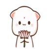 Moshi peach cat 13