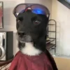 🎵 TIKTOKeando 19🎵 9