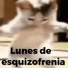 Lunes de esquizofrenia