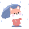 Дождь 14