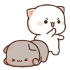 MOCHIS🐈CAT Especial II MOV 11