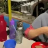 😻Gatitos Lindos V.2☀️ 9